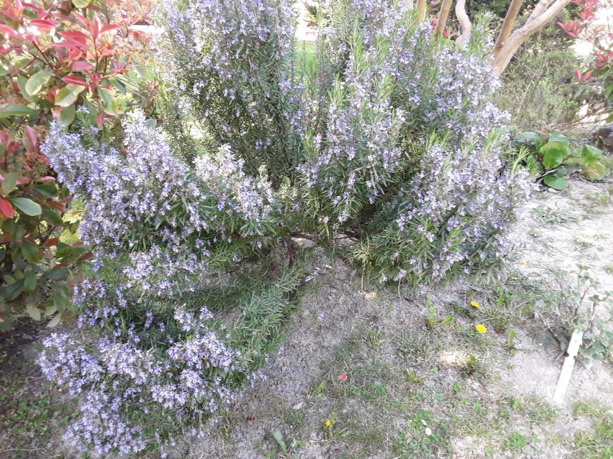 Willa La Bonbonne En Provence Travaillan Zewnętrze zdjęcie